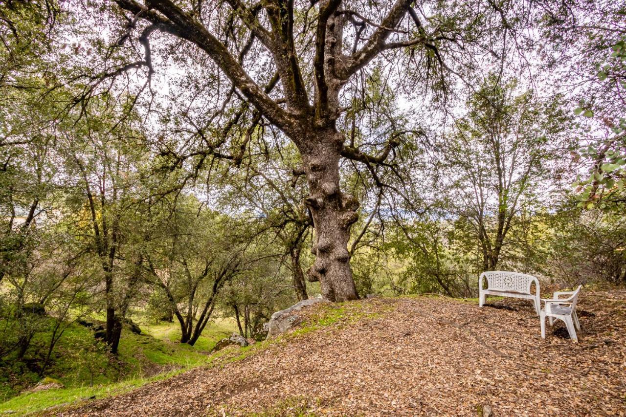 Spectacular Views W/ Hot Tub/Bbq -Yosemite & Bass Lake Villa Oakhurst Dış mekan fotoğraf